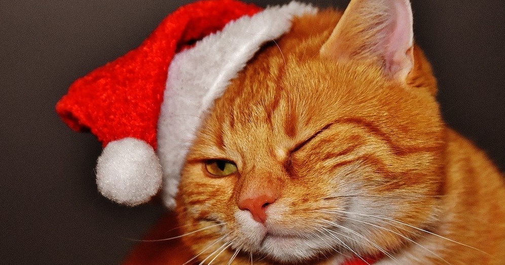 Anunturi de recrutare penibile din marketing – ediția de Crăciun