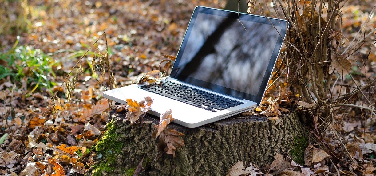 Marketing remote - ghidul începătorului