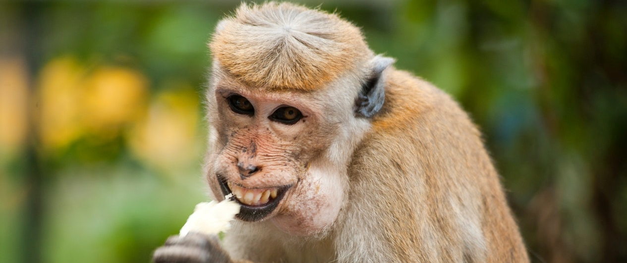 Alte anunțuri de angajare savuroase din content writing